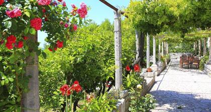 Apartment & Rooms Savonari