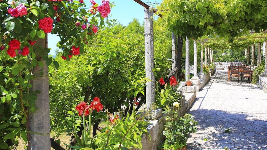 アパートメント & ルームズ サヴォナリ