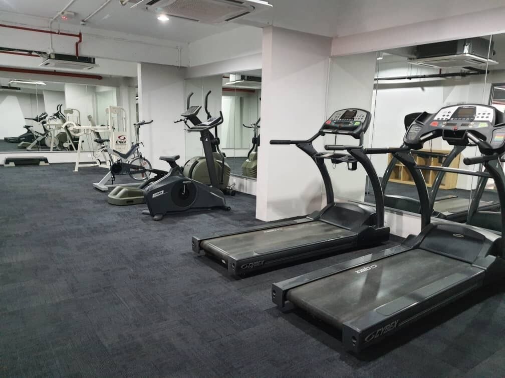 A gym with treadmills, stationary bikes, and elliptical machines.