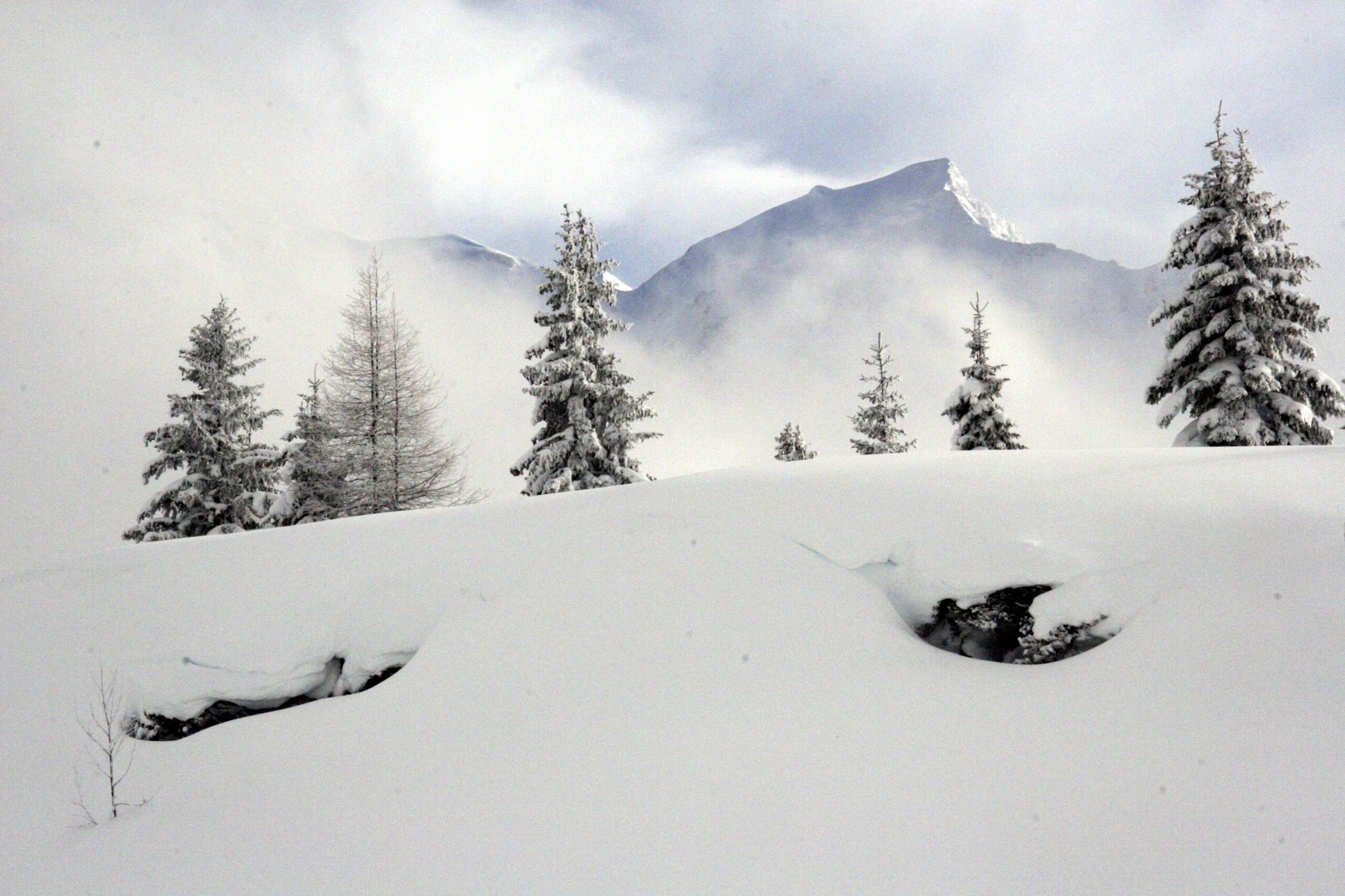 A snowy landscape with snow-covered trees and a mountain in the background.