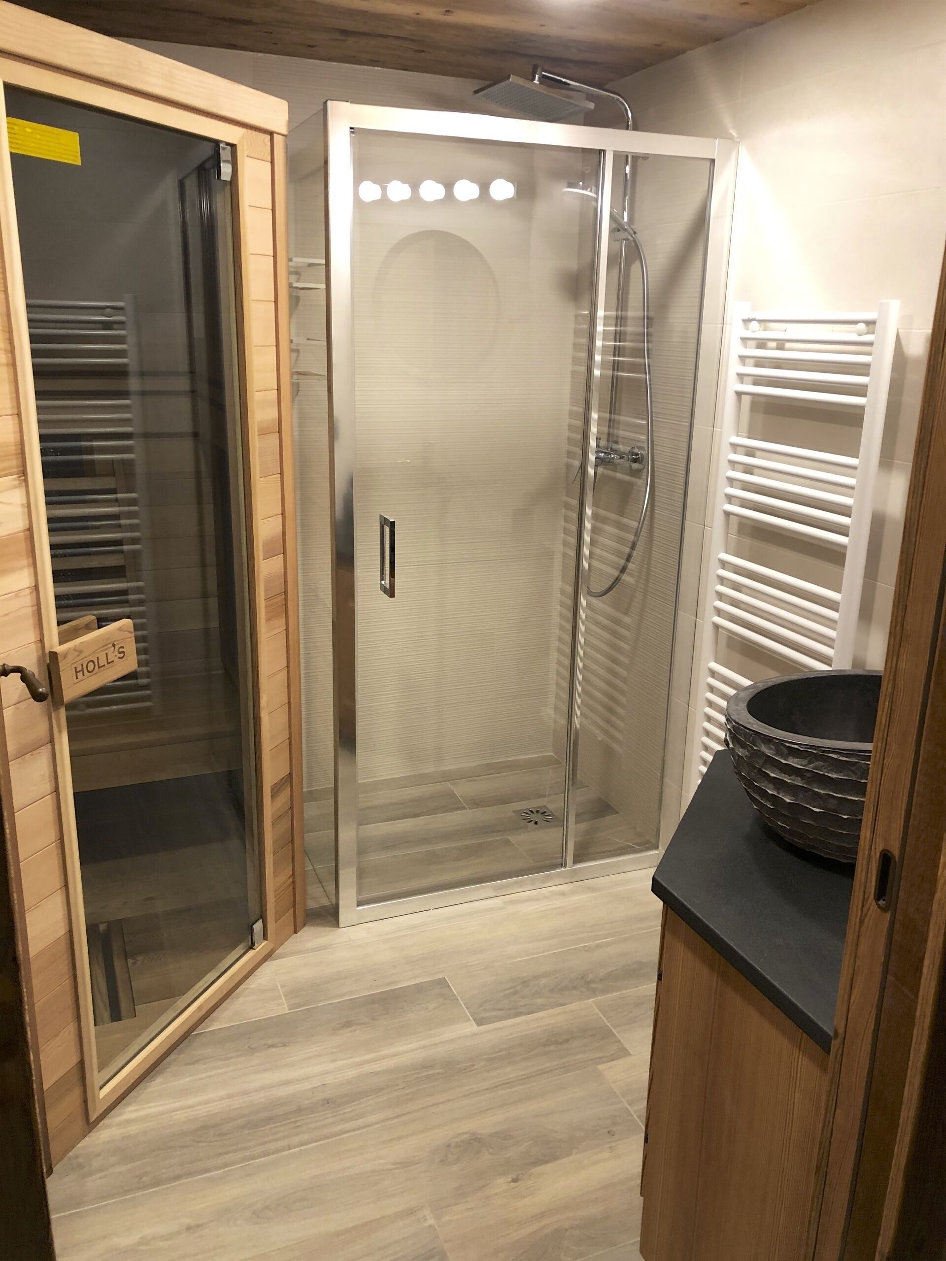 Shower, hair dryer, towels
