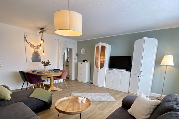 Smart TV, video games, DVD player, books