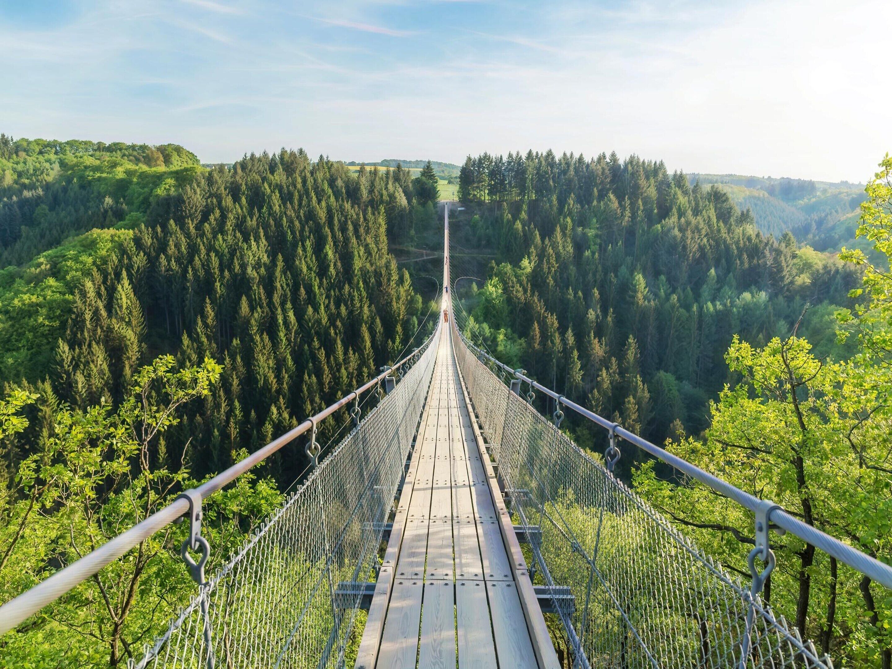 Un pont suspendu doté d’une passerelle en bois, entouré d’une forêt dense.