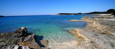 Mobile Home | View from property