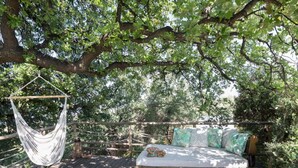 Una hamaca colgada de una rama de árbol, una terraza de madera y una cama con cojines estampados.