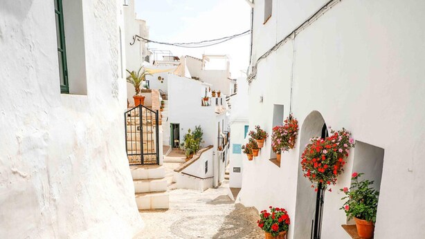 A narrow cobblestone street flanked by white buildings with potted plants and flowers. - Villa in Plakias Near the Beach (Agios Vasileios)