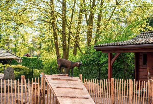 A wooden ramp leading to a fenced area with a goat statue, surrounded by trees and a traditional building. - Luxury Villa in the Achterhoek (Lochem)