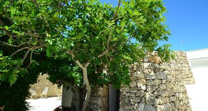 Lovely Cottage in Marina di Mancaversa near Sea