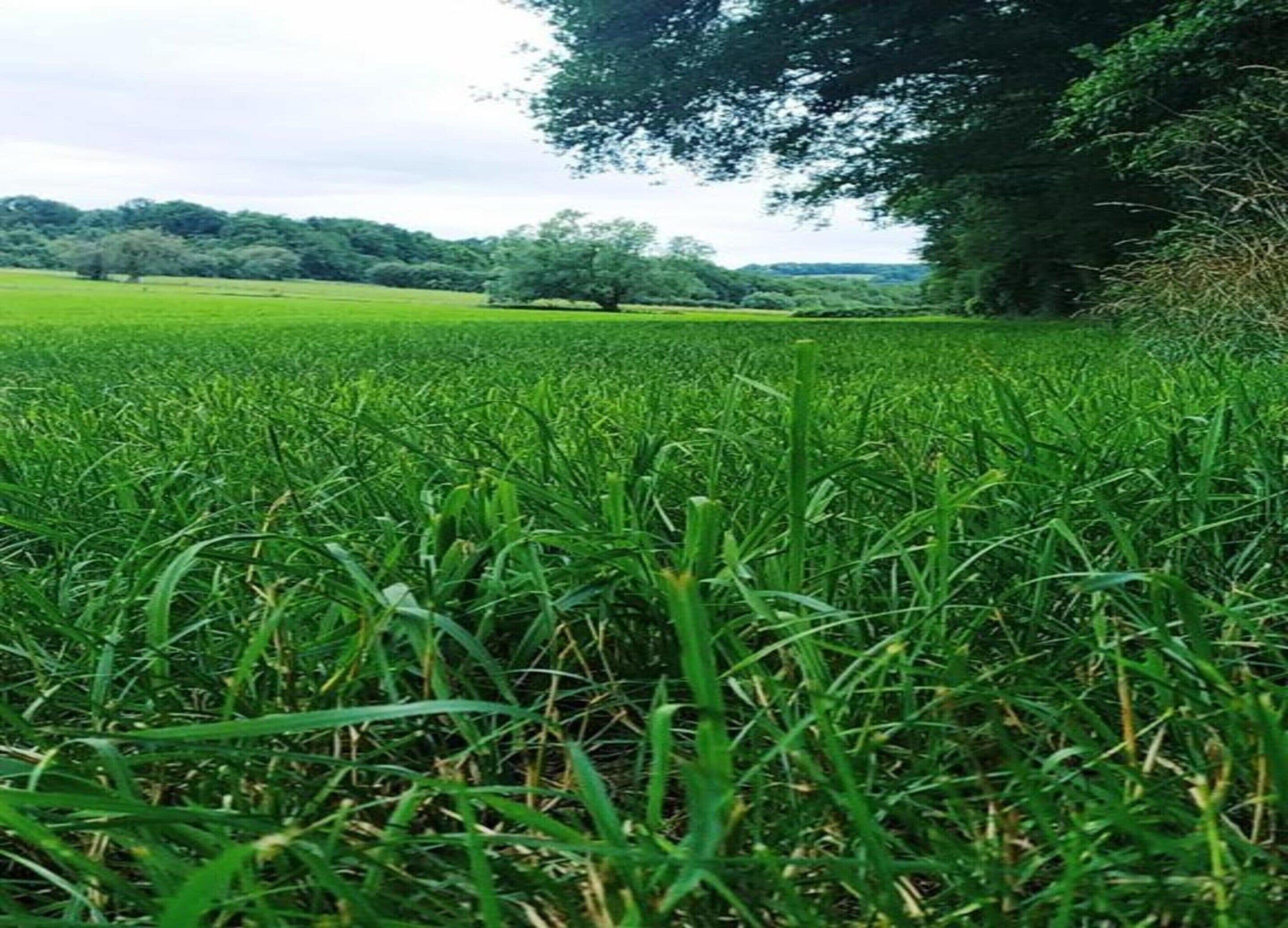 住宿景观