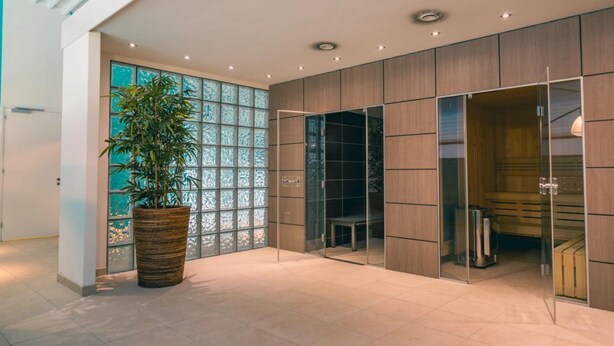 A modern interior with a large potted plant, a glass partition, and a wooden bench.