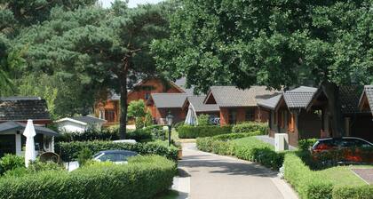 Well Furnished Chalet with Garden near Brunssummerheide