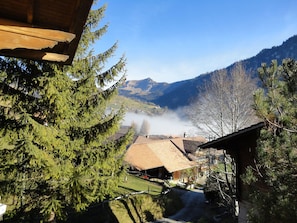 Exterior - Charming Apartment in Habkern With Private Terrace (Habkern)