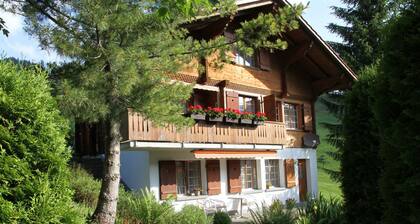 Charming Apartment in Habkern With Private Terrace