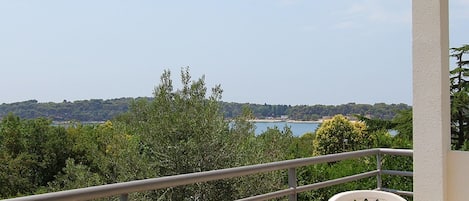 Apartment | Balcony