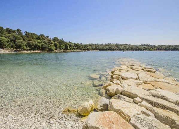 A clear coastal area with a rocky shoreline and a forested background.
