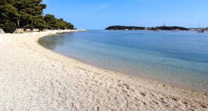 Charming Villa With Heated Pool Near Rovinj