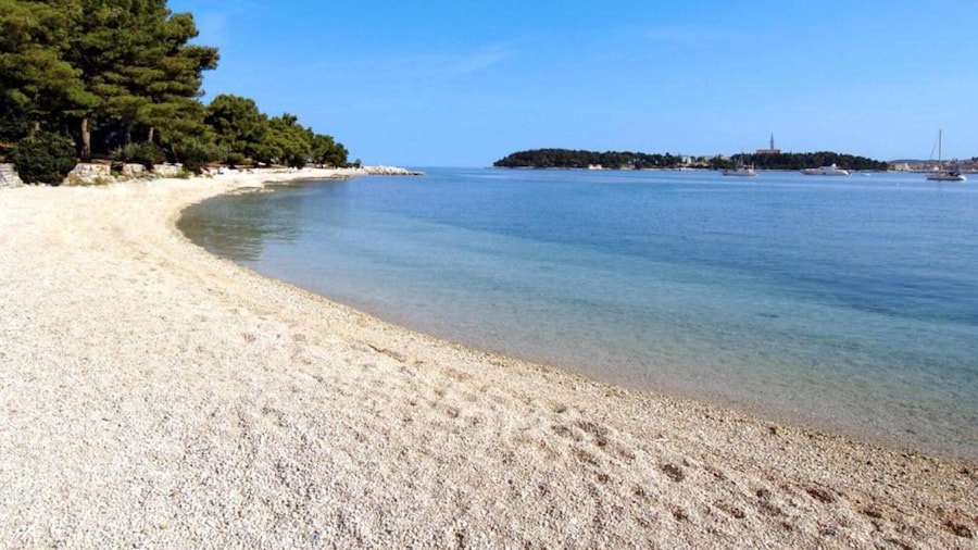 Holiday Home in Rovinjsko With Pool