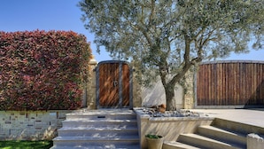 A stone staircase leading to a wooden door, surrounded by a well-maintained hedge and a tree. - Luxurious Villa in Pomer with Pool & Hot Tub (Medulin)