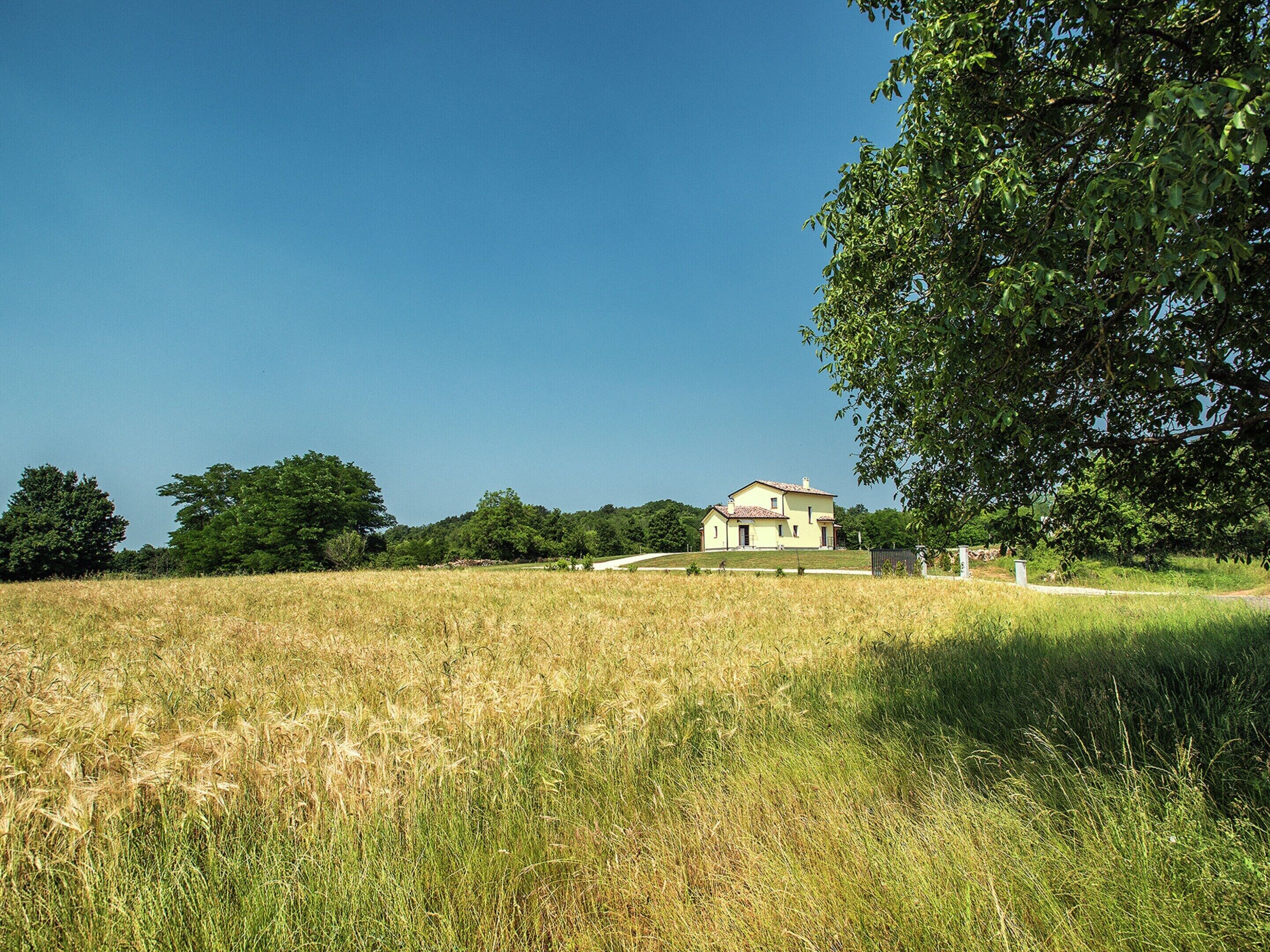 A house with a sloped roof, surrounded by a grassy field and trees.
