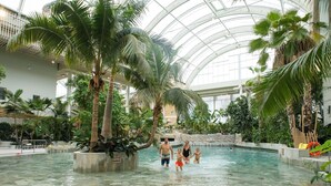 Piscina externa
