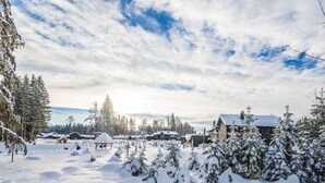 Unclassified image, 2 of 40, button - Cottage de Luxe With Whirlpool & Sauna, in Allgäu (Leutkirch im Allgau)