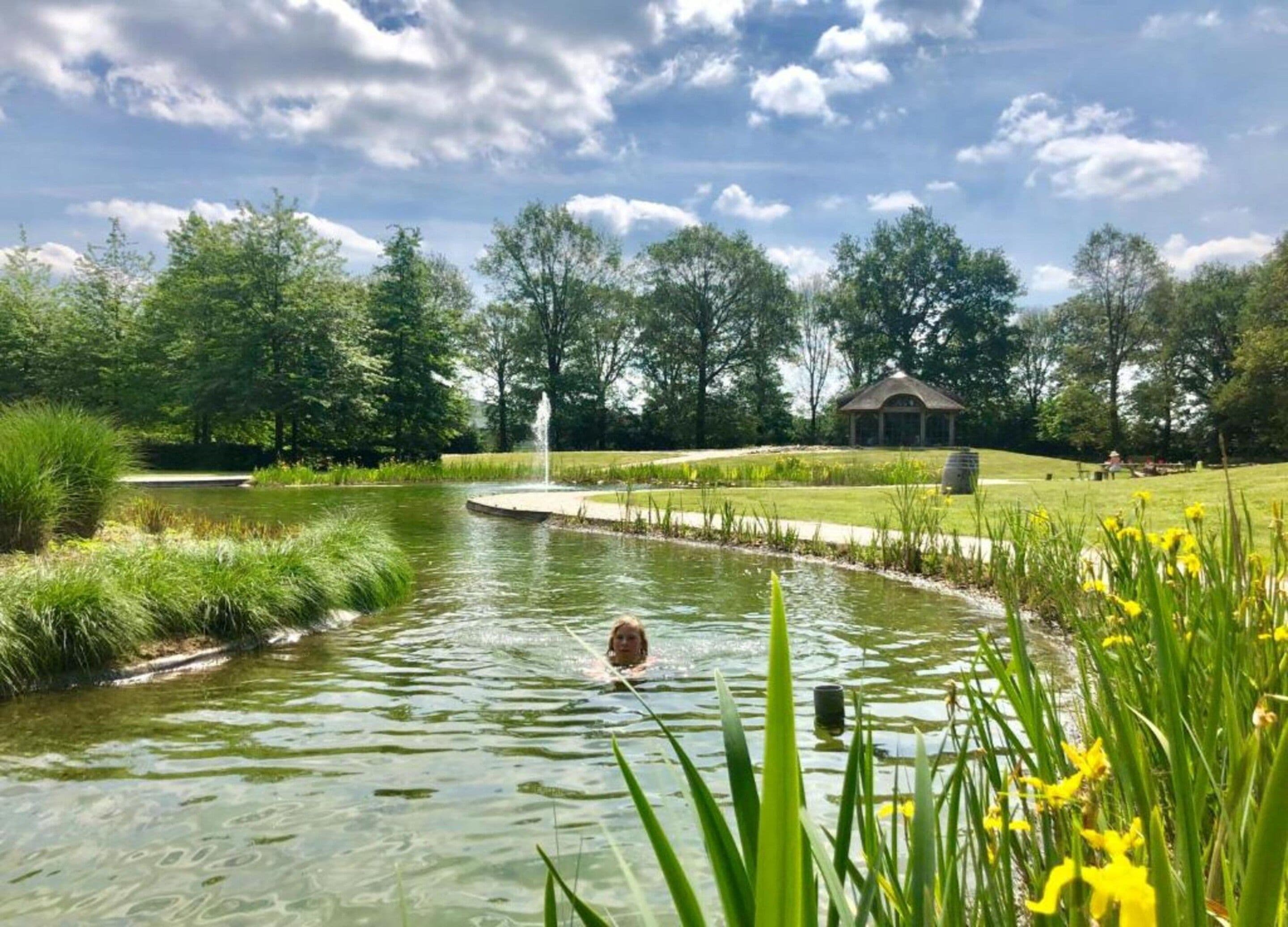 A serene pond with a fountain, surrounded by lush greenery and a gazebo in the background.