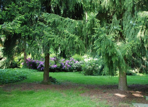 A garden with trees and flowering shrubs. - Hotel Room (Arcen)