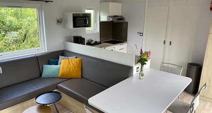 Chalet in Friesland Near Nature Reserves