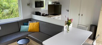 Chalet in Friesland Near Nature Reserves