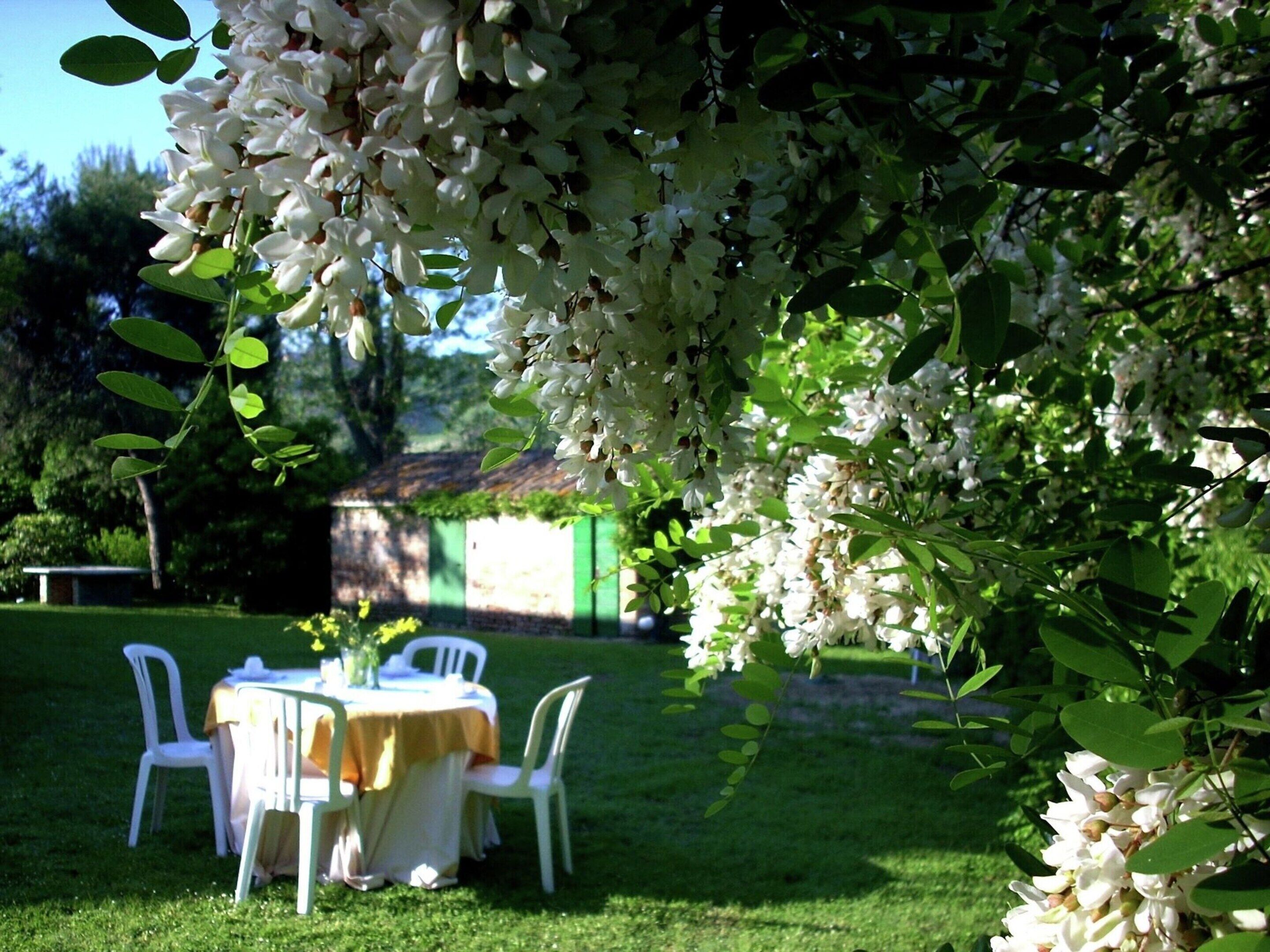 Un jardin aménagé avec une table et des chaises, entouré d’une végétation luxuriante et de plantes à fleurs blanches.