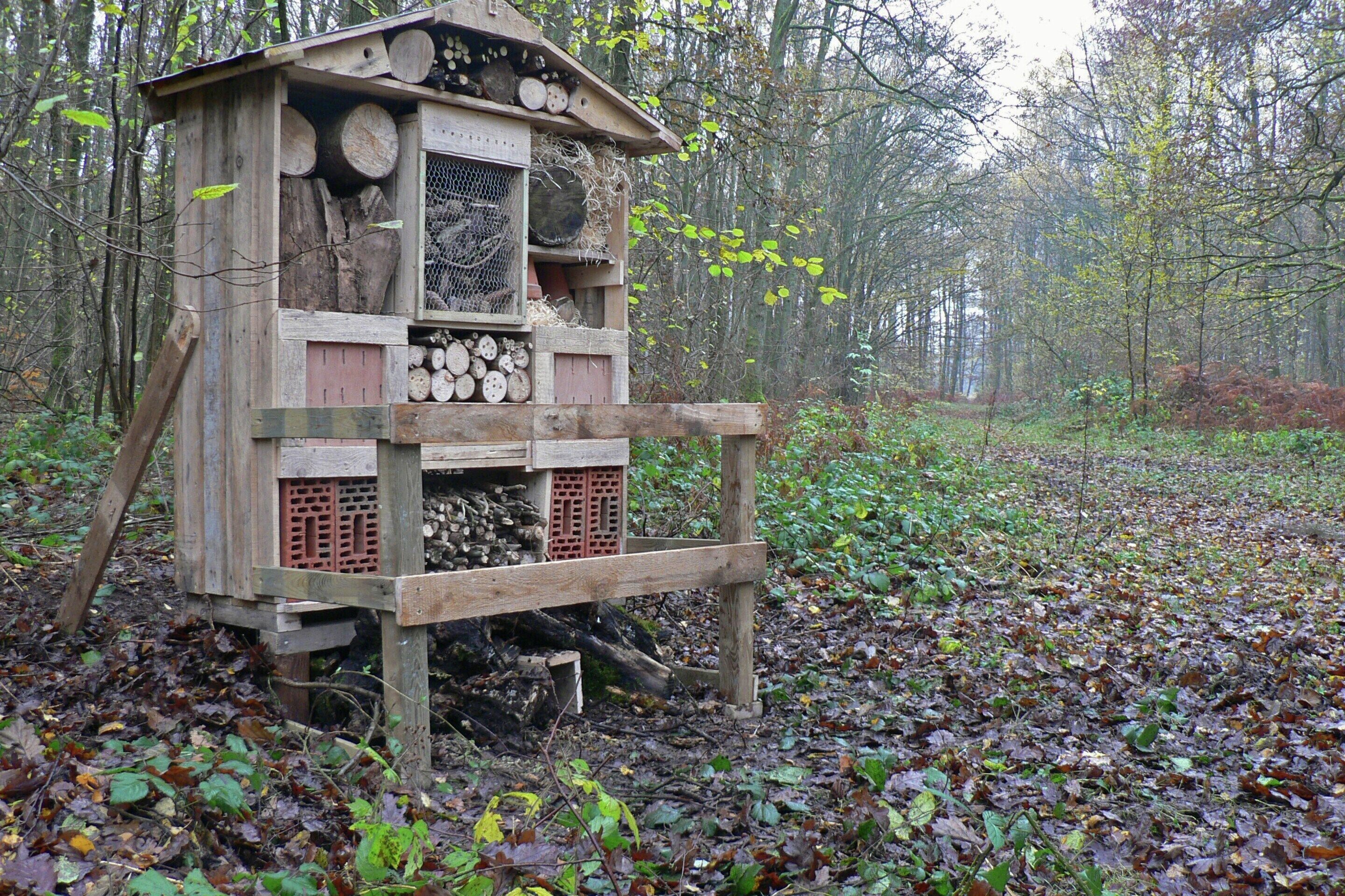 A wooden birdhouse structure in a forest.