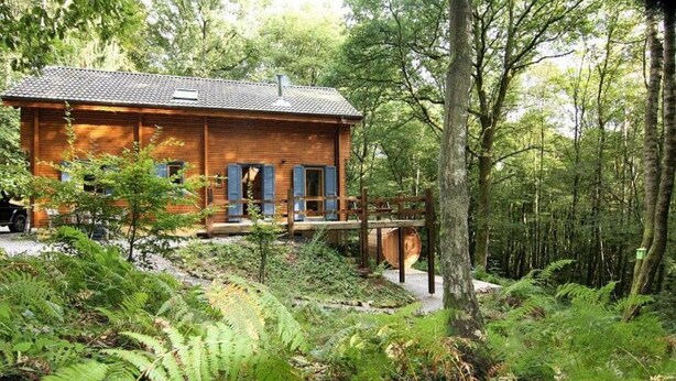A wooden cabin with a deck, surrounded by dense forest and ferns. - Cozy, Wooden Chalet With a Microwave, Located in a Forest (Viroinval)