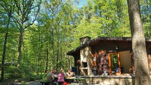 A rustic cabin with a stone exterior, surrounded by a dense forest. - Cozy, Wooden Chalet With a Microwave, Located in a Forest (Viroinval)