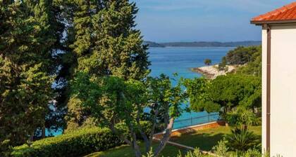 Spacious Villa at Stunning Island of Hvar With Private Pool