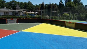Sports court - Composed Holiday Home With a Dishwasher, in the Achterhoek (Lochem)