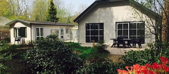 Composed Holiday Home With a Dishwasher, in the Achterhoek