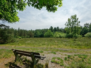 Exterior - Composed Holiday Home With a Dishwasher, in the Achterhoek (Lochem)