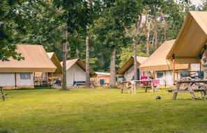 A campsite with multiple tents, picnic tables, and a grassy area.