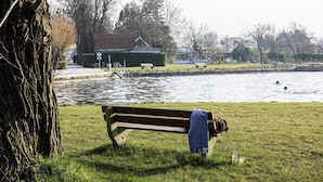A park with a bench, a pond, and a building in the background. - Private Island Bungalow Stay (Loosdrecht)