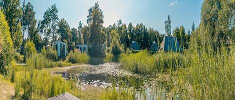 Chalet | Property grounds