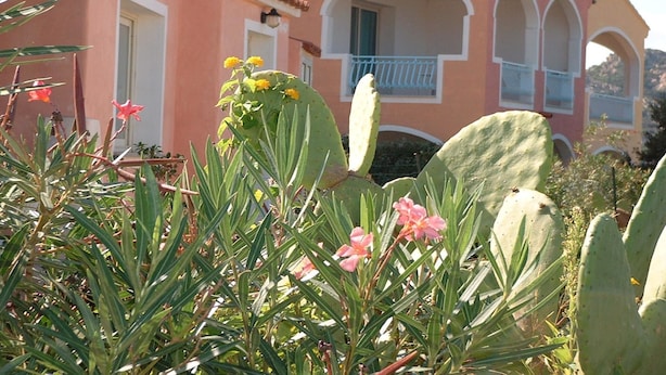 Exterior - Comfortable Studio With sea View and Balcony or Terrace (Loiri Porto San Paolo)