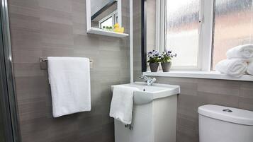 Shower, hair dryer, towels