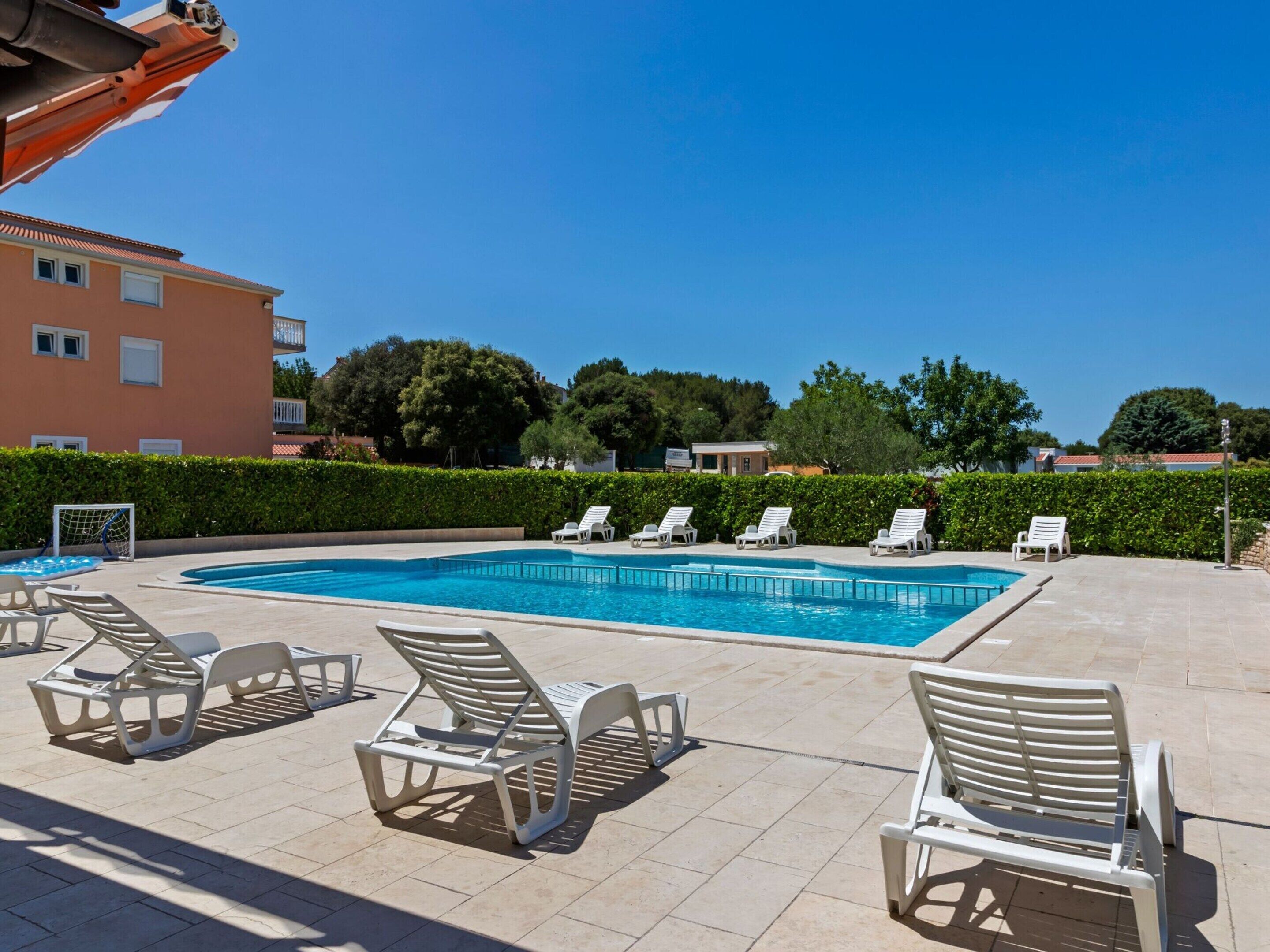 A swimming pool with lounge chairs and a hedge in the background.
