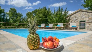 Outdoor pool - Traditional Stone Villa With a Private Pool and Complete Privacy (Zmijavci)
