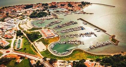 Villa in Novigrad With Private Pool and Beach