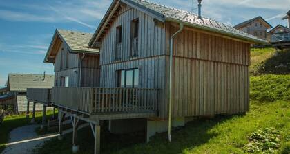 Wooden Chalet in Klippitztörl With Sauna