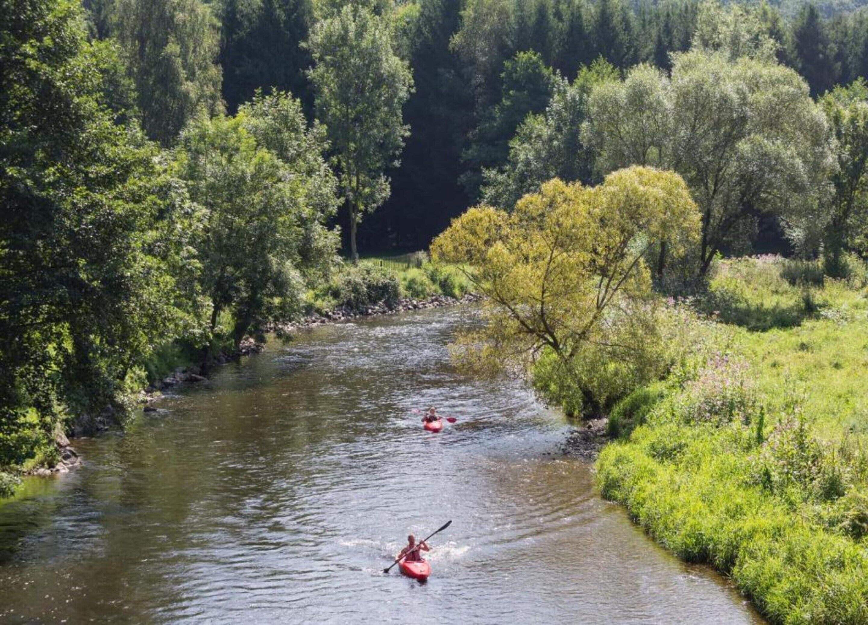 Ein Fluss, umgeben von üppiger Vegetation und Bäumen.