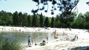 A beach with people swimming and playing, surrounded by trees.