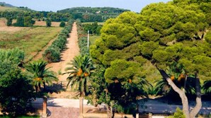Exterior - Stylish Apartment with AC near Tuscan Coast (Piombino)