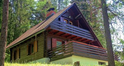 Cozy Holiday Home in Slovenia With Private Terrace